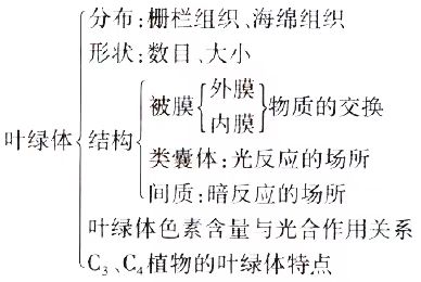 2024年10月陕西自考02676《作物栽培生理》章节串讲：作物光合作用与产量形成（第三章）(图3)