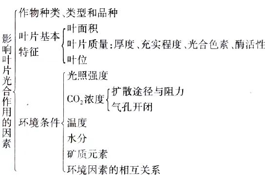 2024年10月陕西自考02676《作物栽培生理》章节串讲：作物光合作用与产量形成（第三章）(图4)