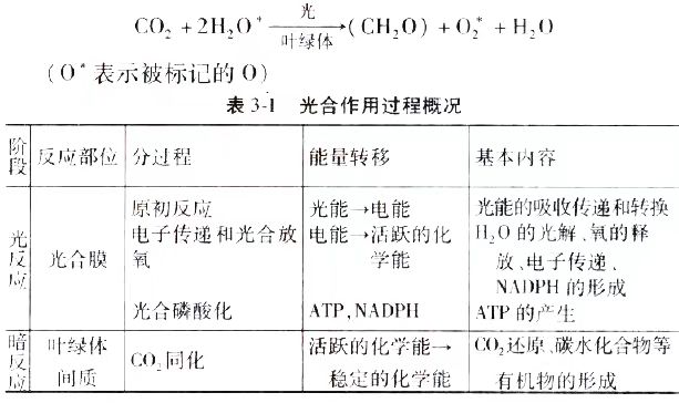 2024年10月陕西自考02676《作物栽培生理》章节串讲：作物光合作用与产量形成（第三章）(图1)