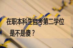 在职本科生自考第二学位是不是傻？