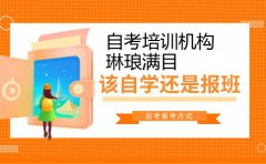 自考培训机构琳琅满目，考生该自学还是报班？